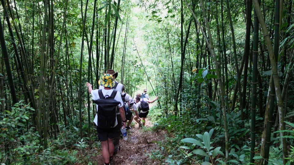 Muong Hoa Valley: Rice Fields, Villages, Mountain Views - Key Points