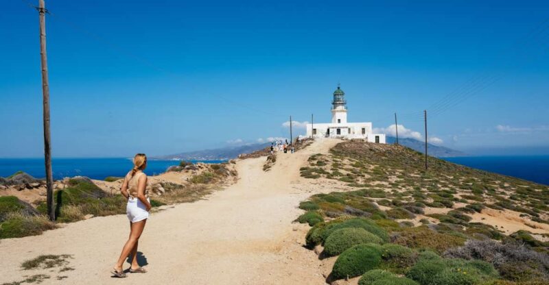 Mykonos: Full-Day Off-Road Safari - Key Points