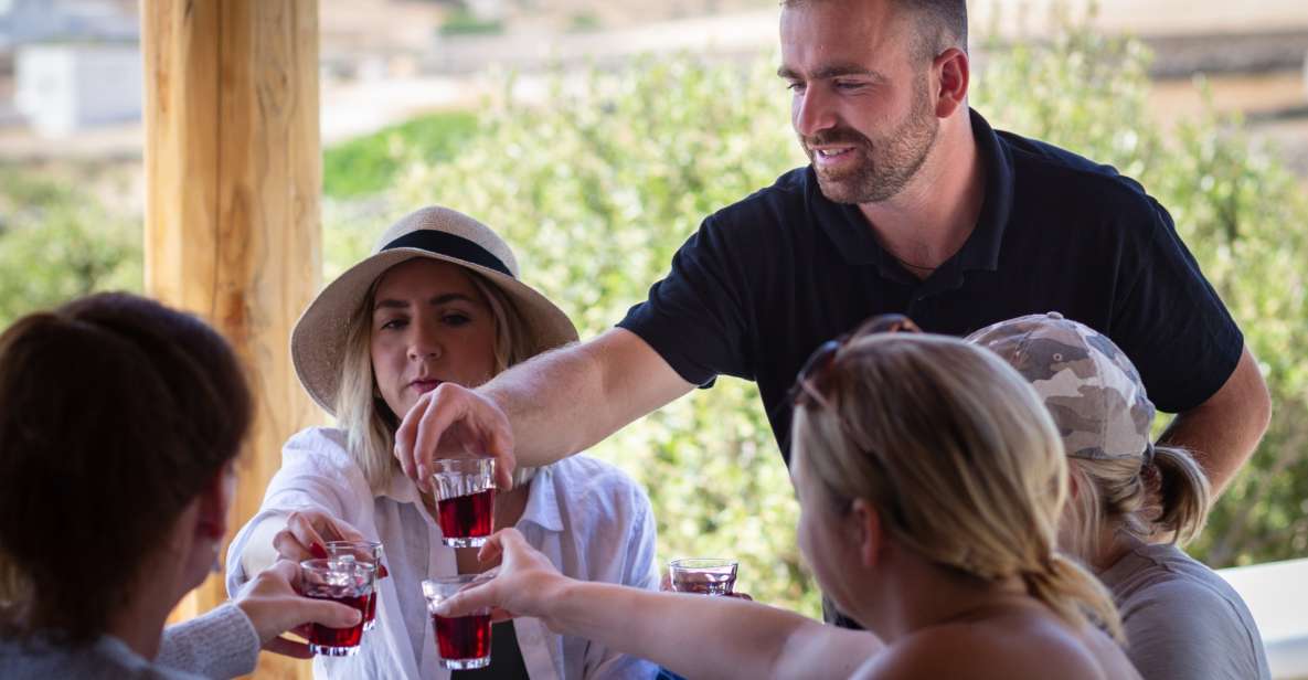 Mykonos: Winery Vineyard Experience With Food & Wine Tasting - Key Points