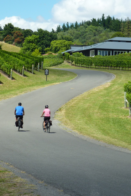 Napier: Cape Coast Winery Tour on Pedal or E-Bikes - Key Points