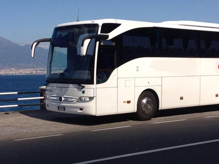 Naples Airport: 1-Way Shuttle to Sorrento Coast and Naples - Key Points