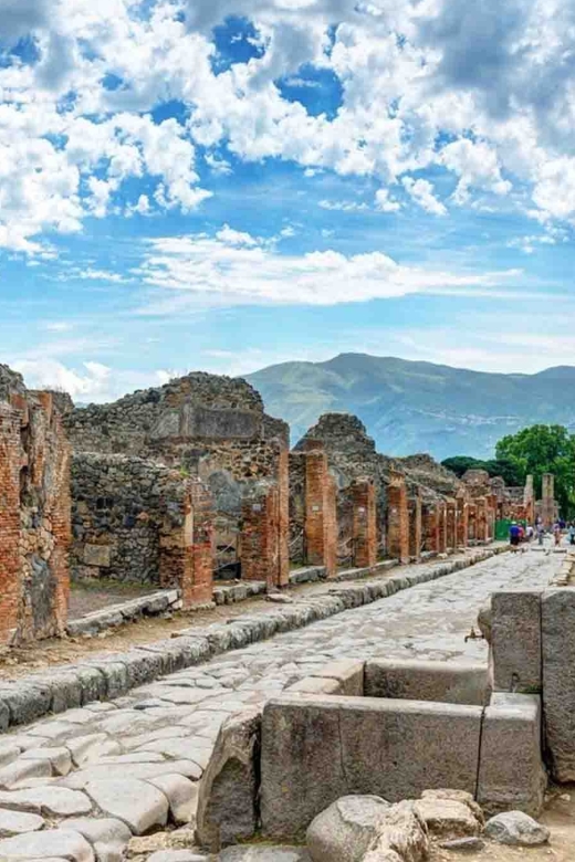 Naples: Pompeii and Amalfi Coast Day Trip With Ticket Option - Key Points