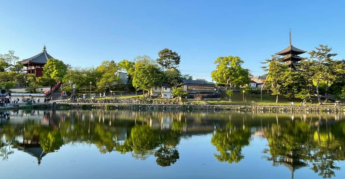 Nara: 1 Day Local Guide– Big Buddha, Deer, Shrine, Old Town - Overview of the Tour