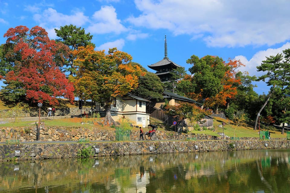 Nara:Private Walking Tour With Famous Spot & Sake & Mochi - Tour Overview and Pricing