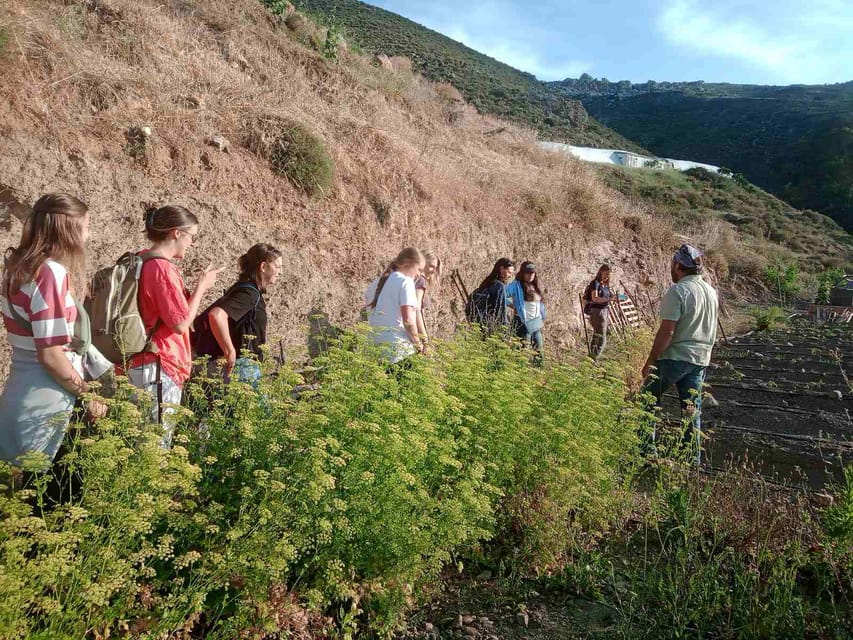 Native Vegetables Farm Tour & Organic Meal - Good To Know