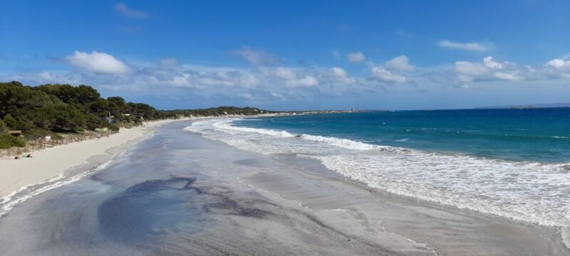NATURE WALK + BEACH, YOGA & OPTION OF HEALTHY BIO PICKNICK - Key Points