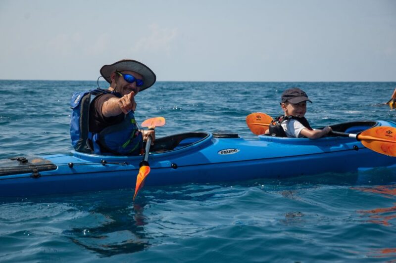 Navarino Bay: Sea Kayaking With Lunch - Natural Features