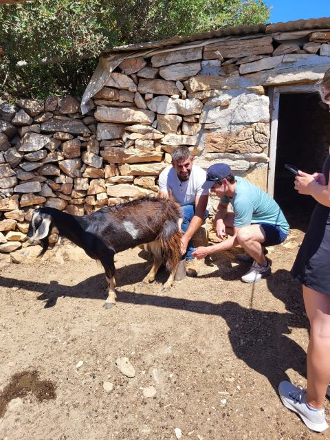 Naxos: Private E-Bike Tour With Lunch Ode-Yssey Uncharted - Key Points