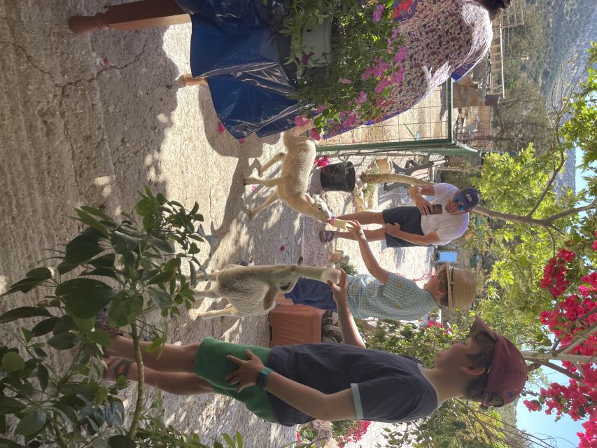 Naxos: Private Half-Day Family-Friendly Tasting Tour - Key Points