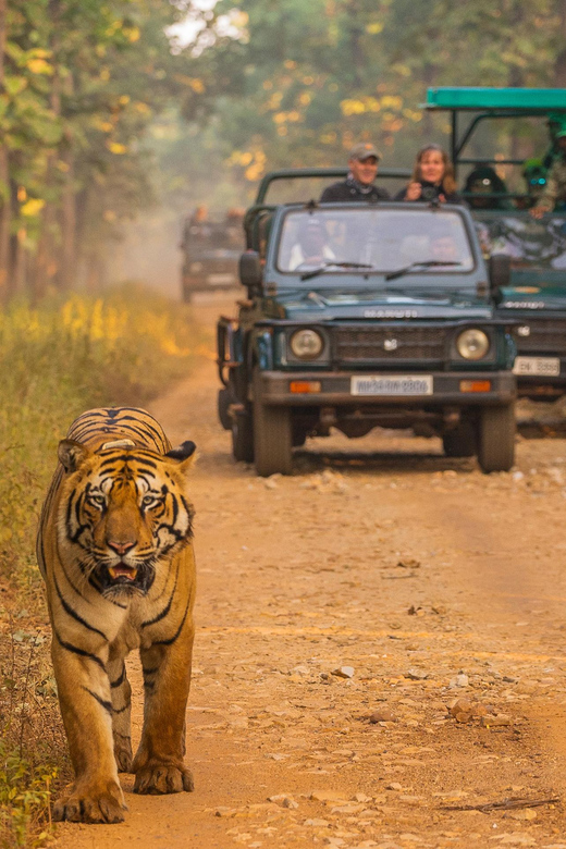 Nepal: 10 Days Adventure Tour From Kathmandu - Key Points