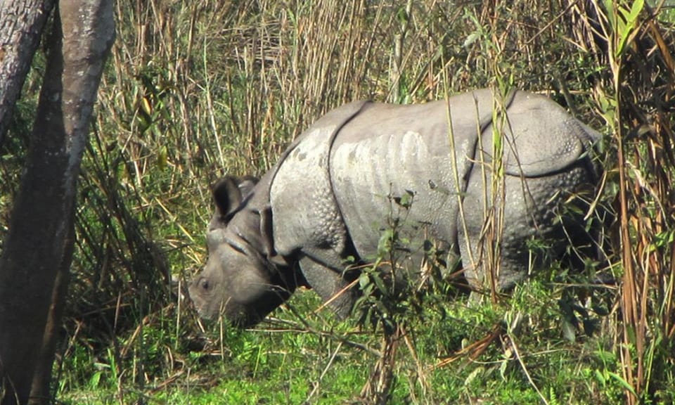 Nepal: Heritage & Cultural Tour - Key Points