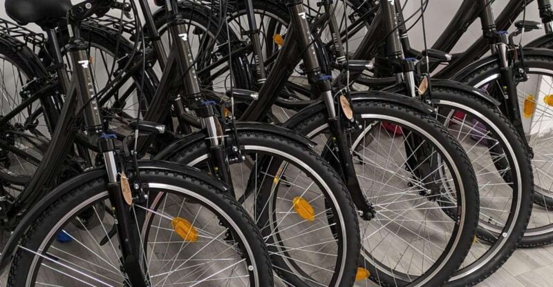 NERJA: Ebike Rental - Key Points