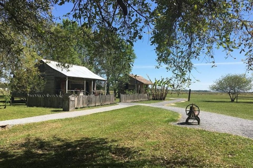 New Orleans: Oak Alley & Laura Plantation Tour W/Transport - Key Points