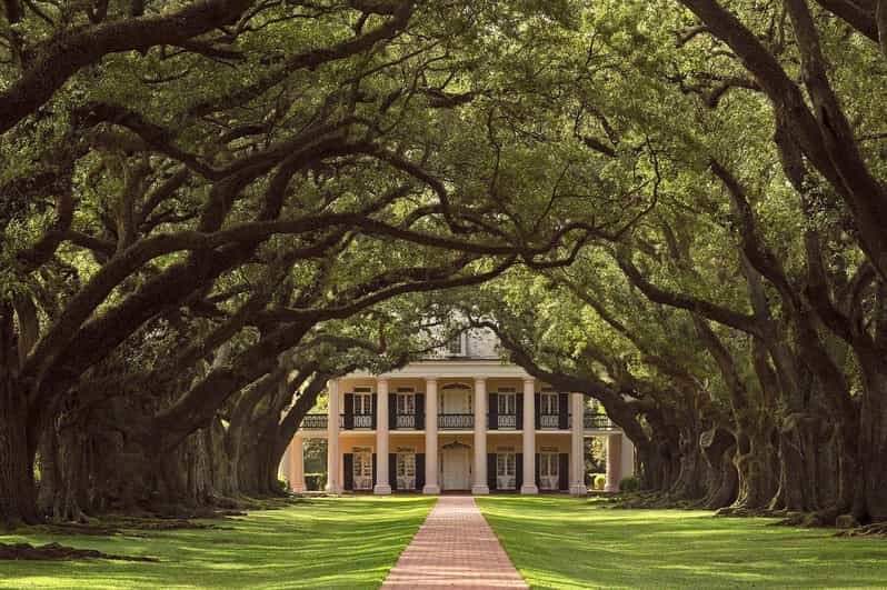 New Orleans: Oak Alley Plantation Half Day Tour - Key Points