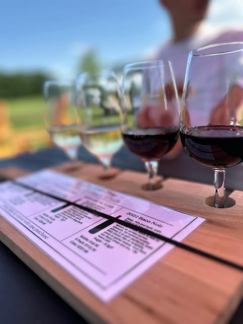 Niagara Falls Wine Tour From Toronto on RV - Motorhome - Key Points