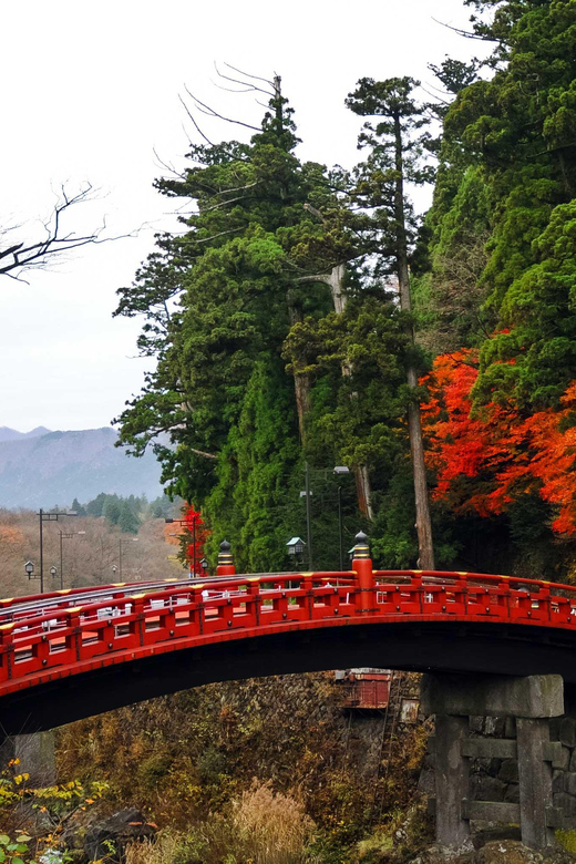 Nikko: Private Sightseeing Day Tour With Driver & Transport - Key Points