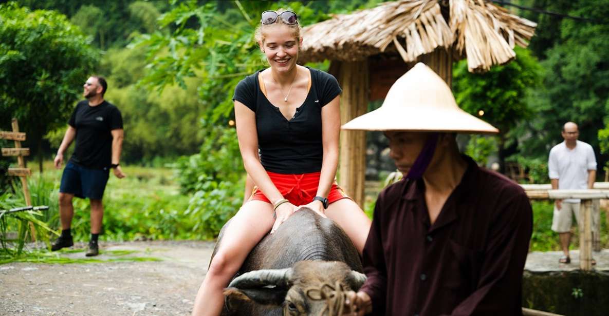 Ninh Binh: Buffalo Riding, Rice Planting Group Tour - Key Points