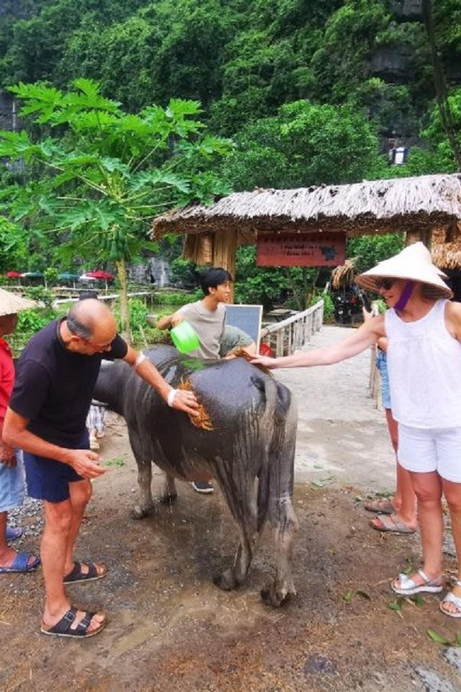 Ninh Binh : Countryside Tour by Motorcycle - Buffalow Riding - Key Points