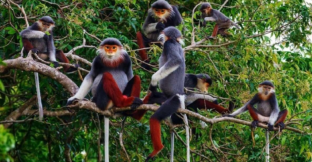 Ninh Binh: Cuc Phuong National Park One Day Small Group Tour - Key Points