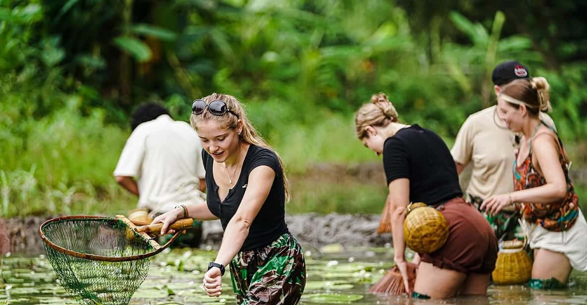 Ninh Binh: Rice Planting and Fishing by Basket Tour - Key Points