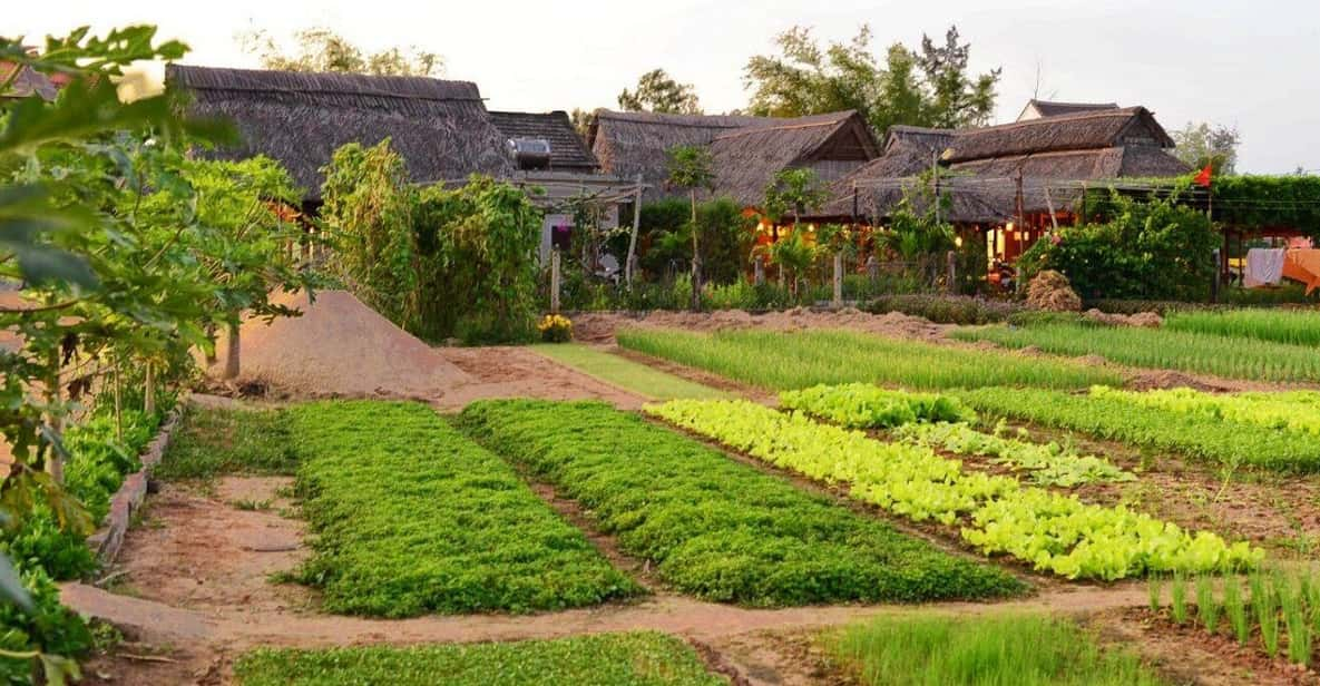 Non-Touristy Tra Que Vegetable Village and Thanh Ha Pottery - Key Points