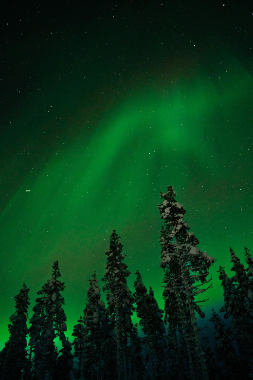 Northern Lights Reindeer Sledge Ride - Key Points