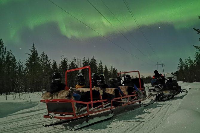 Northern Lights Sledge Ride - Good To Know