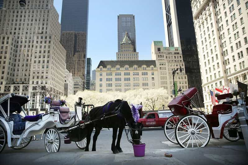 NYC Christmas Lights Carriage Ride - Key Points