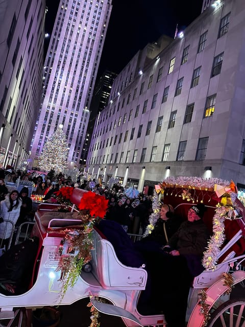 NYC: Christmas Lights Horse Carriage Ride - Key Points