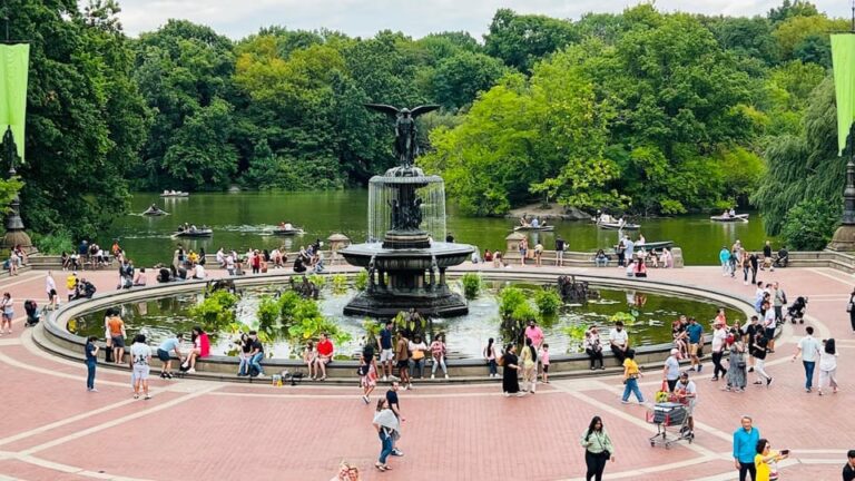 Nyc: Guided Central Park Private Pedicab Tour (60 Mins)