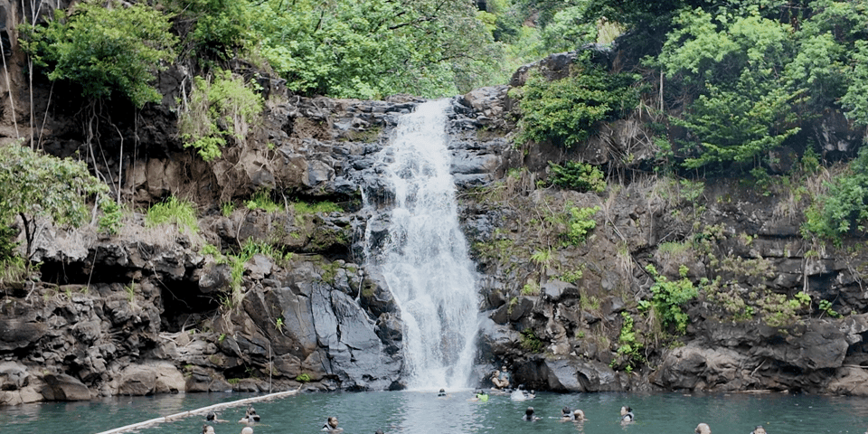 Oahu: Private Tour Circle Island North Shore W/ Waimea Falls - Inclusions and Amenities