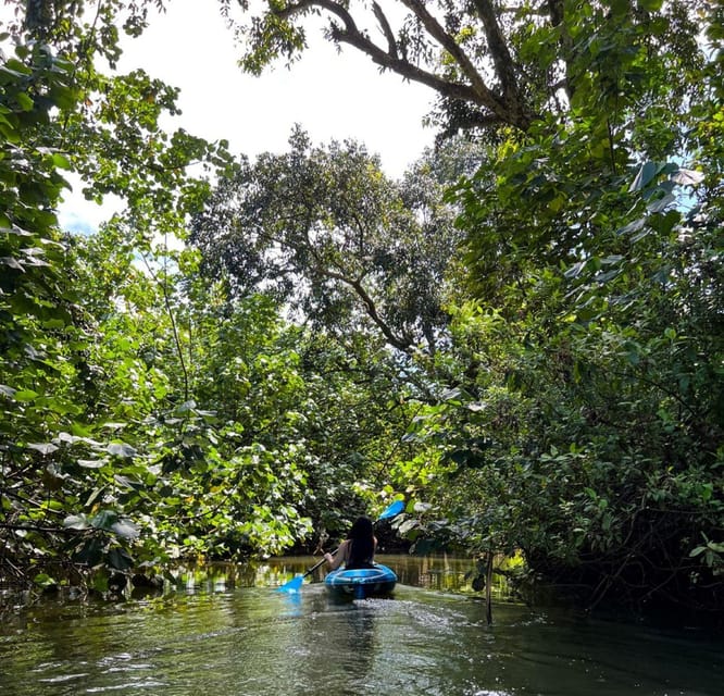 Oahu: Single & Double Kayak 3-Hour River Rental - Key Points