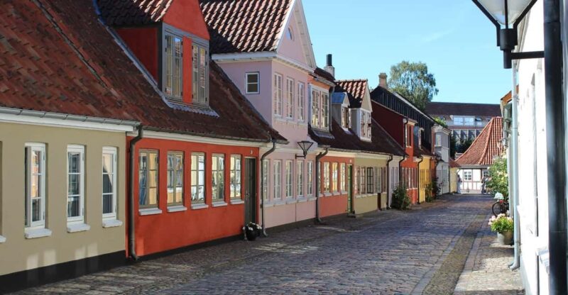 Odense Private Guided Walking Tour - Tour Overview