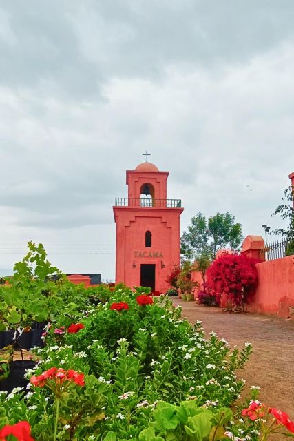 Oenological Route: Tacama, Pisco Museum and Pisco Sour Class - Key Points