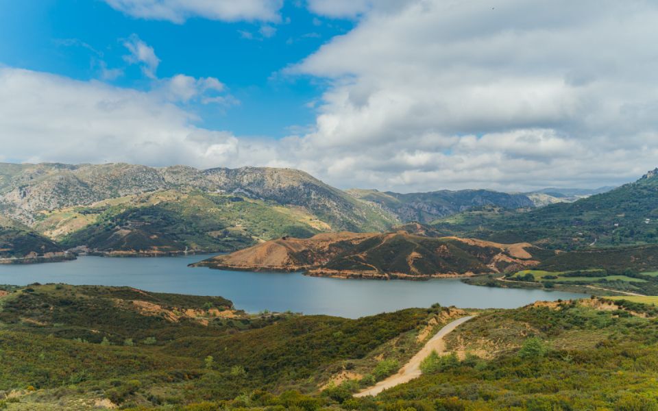 Off Road: Potamon Dam, Arcadi, 3 Gorges, Preveli Palms - Key Points