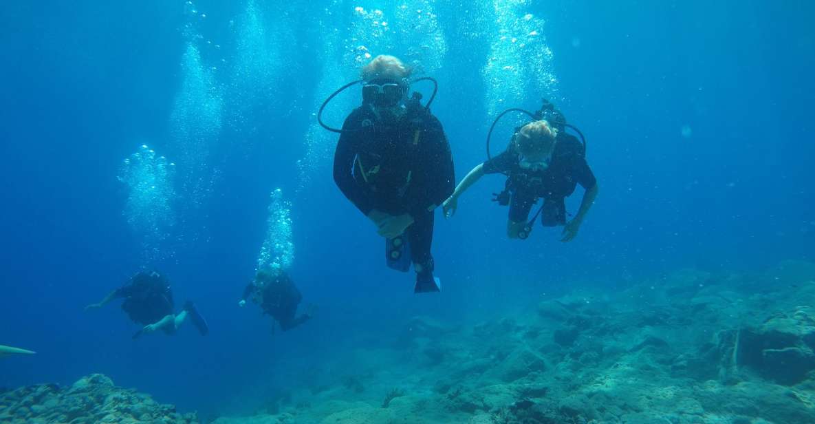 Oia: 2 Guided Scuba Dives off Santorini for Certified Divers - Key Points