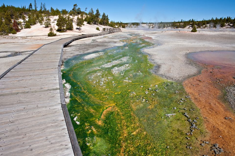 Old Faithful, West Thumb & Grand Prismatic Audio Tours - Key Points