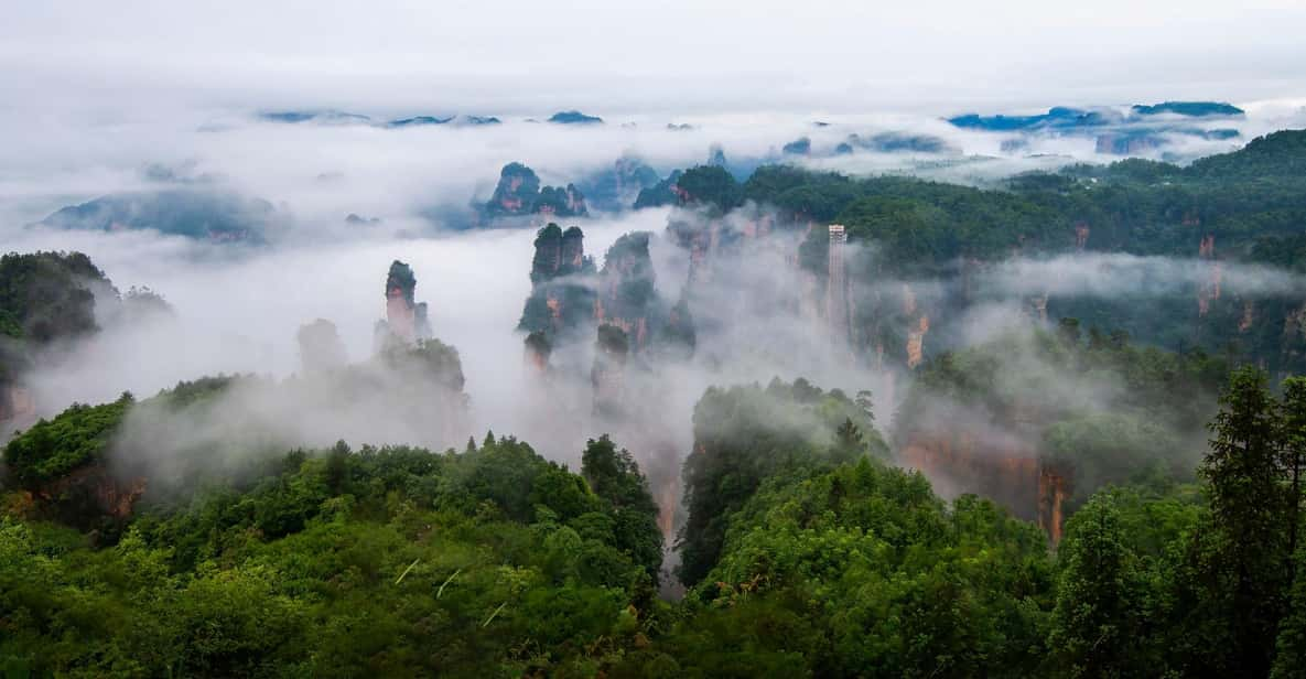 One Day Zhangjiajie National Forest Park Package Tour - Tour Overview and Pricing