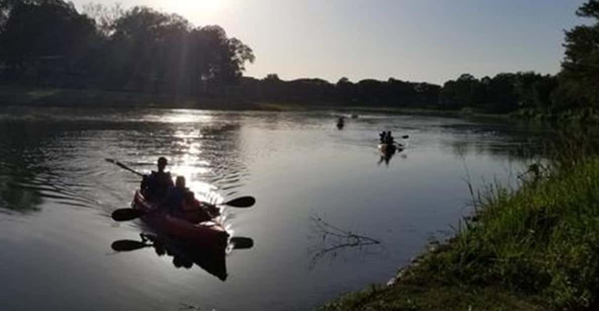 One Hour Daytime Kayak Adventure for Couple - Highlights of the Experience