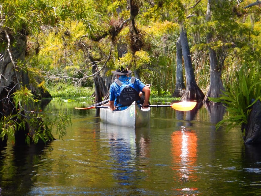 Orlando Alligator Experience: Day-Trip From Orlando - Key Points