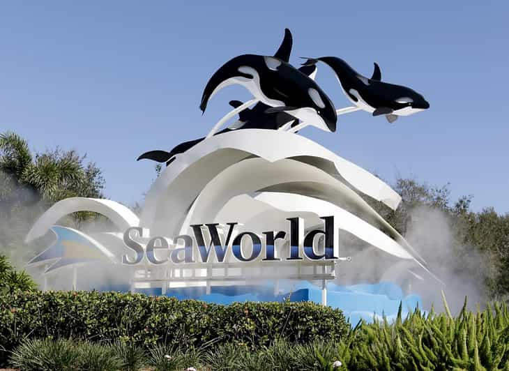 Orlando: SeaWorld Shuttle Service - Key Points