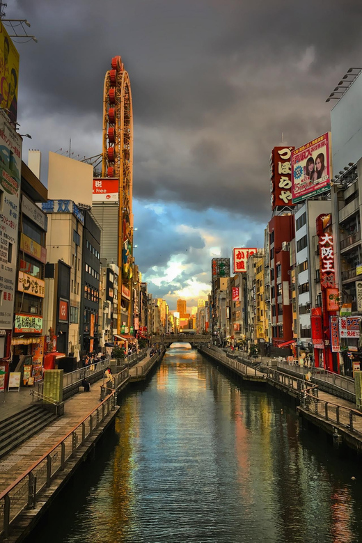 Osaka Full-Day Trip With Daily Chauffeur - Key Points