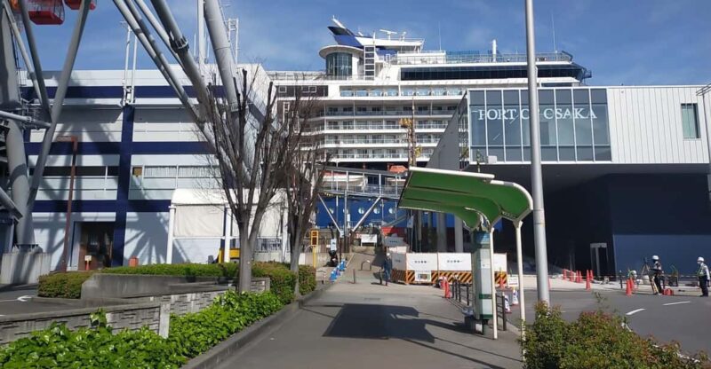 Osaka: Private 4/5/6h Tour For Cruise Ship Passengers - Tour Overview and Pricing