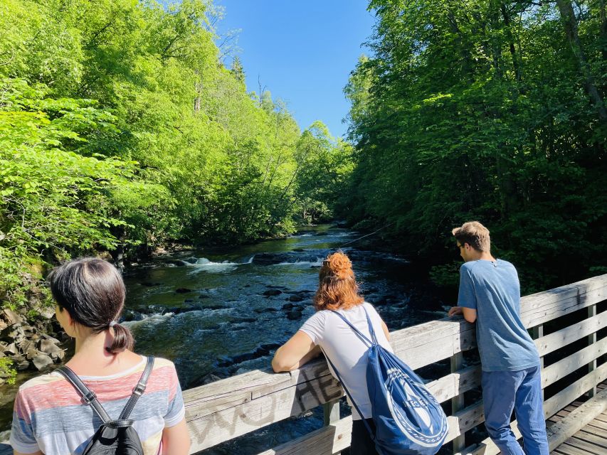 Oslo: Lysaker Wild River Walk - Good To Know