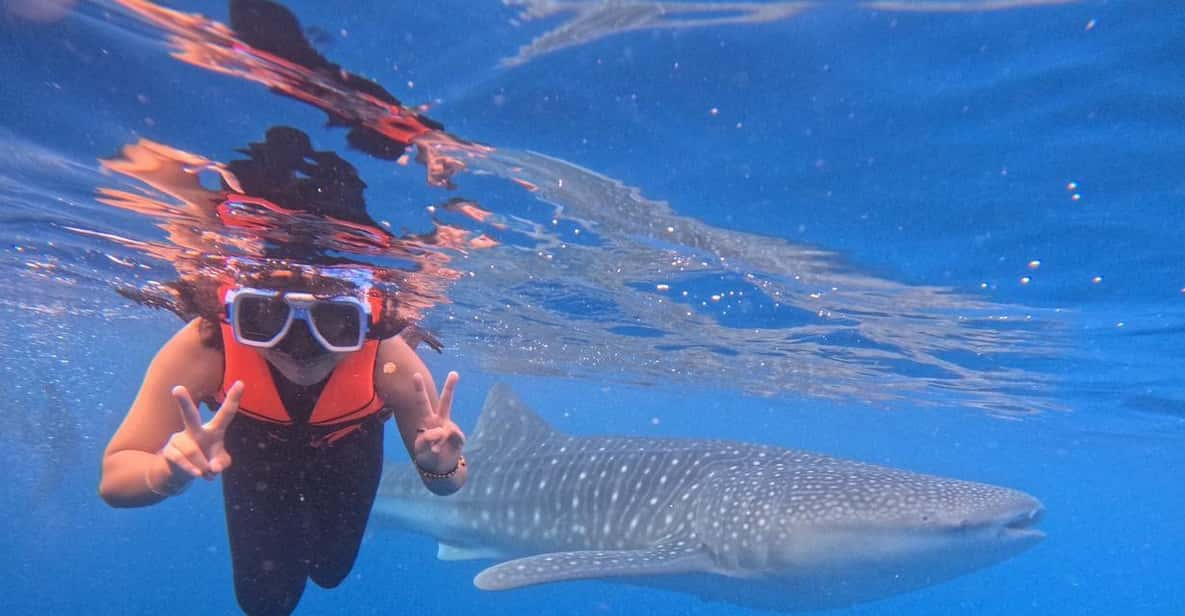 Oslob: Whaleshark Swimming & Sumilon Island Hopping Day Tour - Key Points