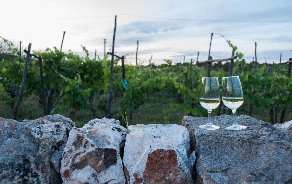 Ostuni Countryside: Wine Tasting and Lunch in a Masseria - Key Points