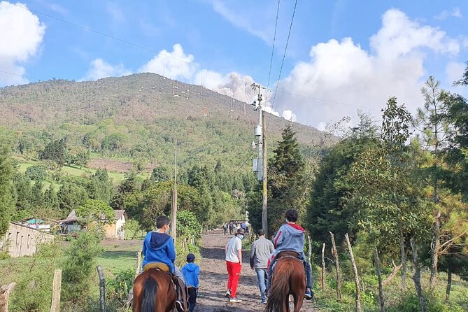 Pacaya Volcano & Guatemala City Private Tour - Tour Overview