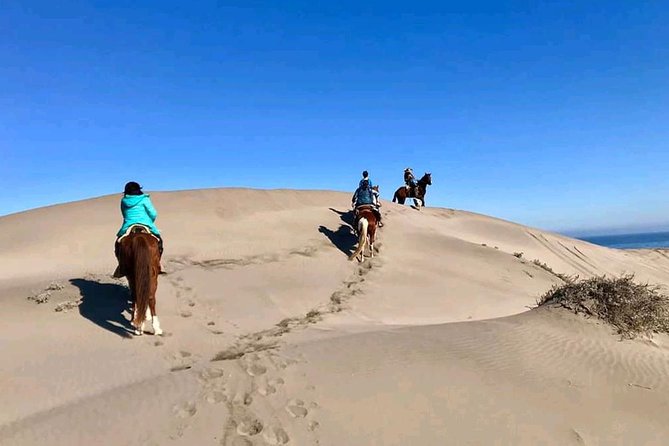 Pacific Horseback Ride on Beach and Sand Dunes - Tour Overview