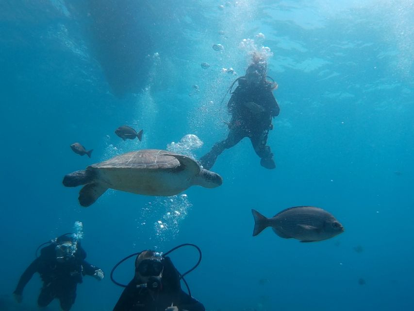 PADI Open Water Course in 3 Days - Key Points