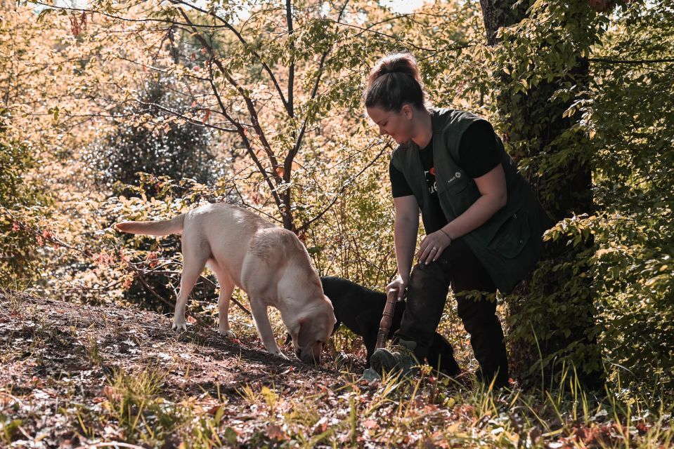 Paladini: Truffle Hunting Tour With 3-Course Tasting Menu - Tour Overview and Details